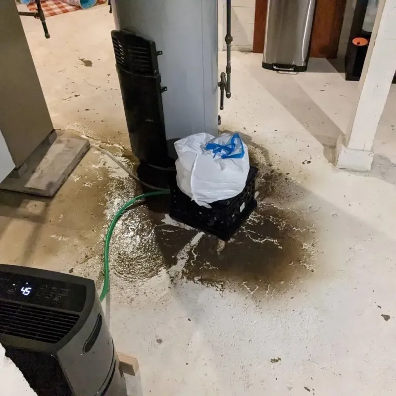 Sewage Backup Cleanup Service in Carbon County, WY